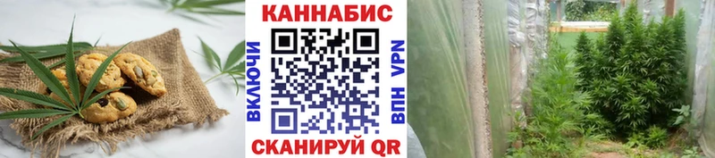 Еда ТГК конопля  блэк спрут онион  Энем 