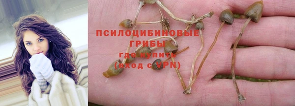 каннабис Туринск