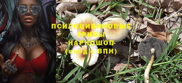 каннабис Туринск