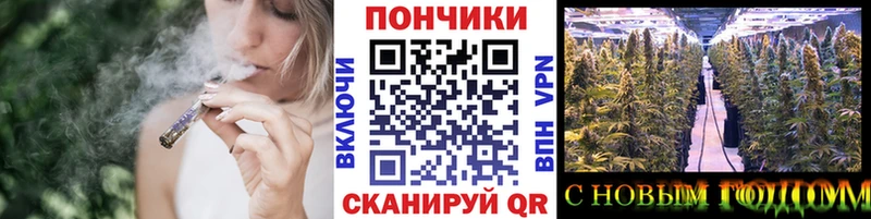 Бошки марихуана Amnesia  наркотики  Энем 
